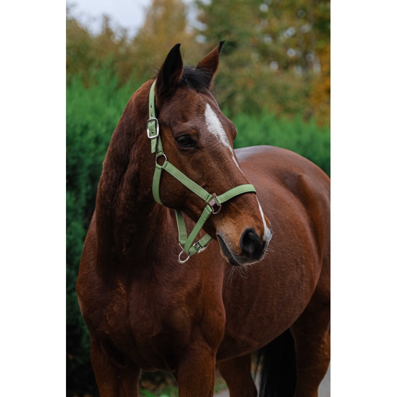Stájovka pro koně  EQUITHEME Spring