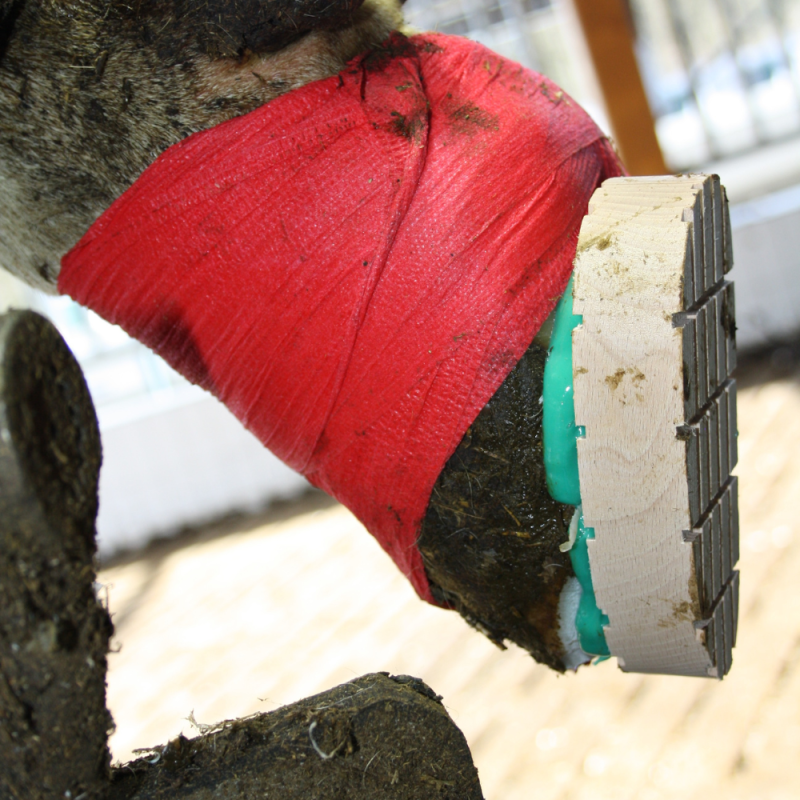 BLOCK BOND dvousložkové lepidlo na paznehty tuba 200ml