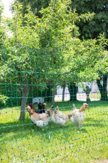 Síť ohradníku pro drůbež zelená výška 106cm, 2 hroty,