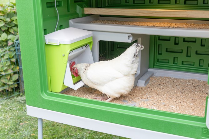 KERBL SMARTCOOP krmítko pro drůbež plastové 7,5kg