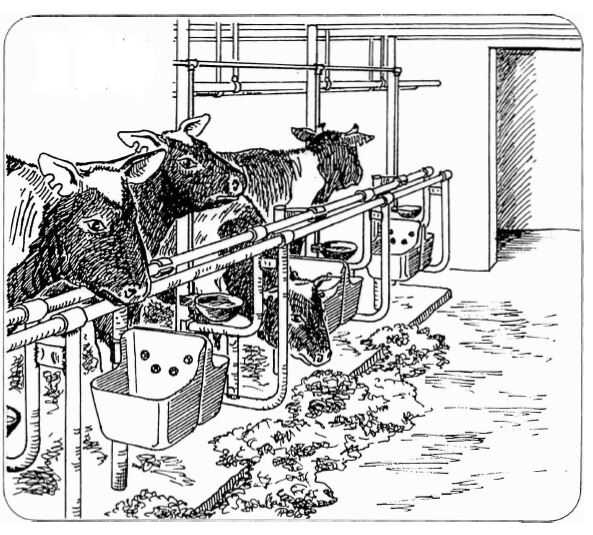 OK PLAST krmný žlab pro koně, skot, krávy 11,5 ltr.