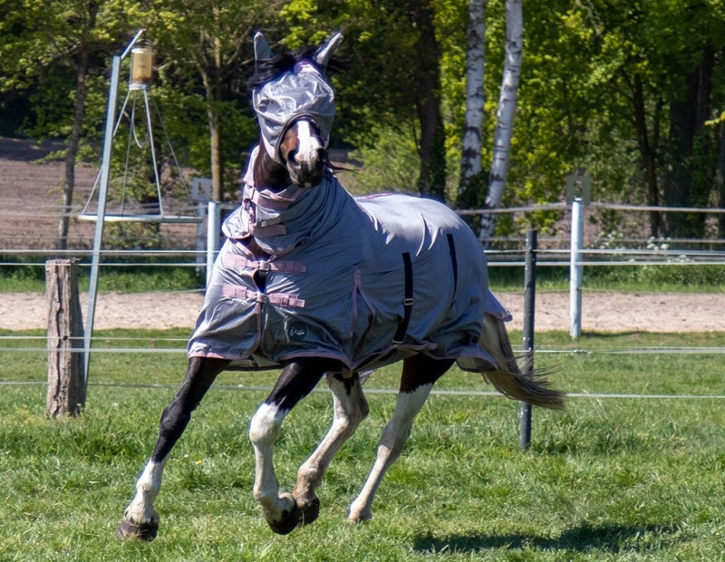 HKM Grey deka proti hmyzu s krkem pro koně