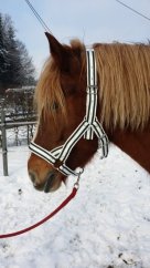 Stájovka pro chladnokrevníky Maxi bílo/zelená
