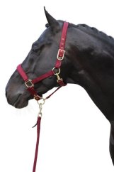 Stájovka pro koně, pony, shetty COVALLIERO Classy,