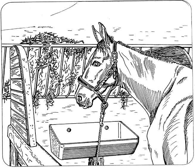 OK PLAST žlab pro skot a prasata široký 77cm, 26ltr.