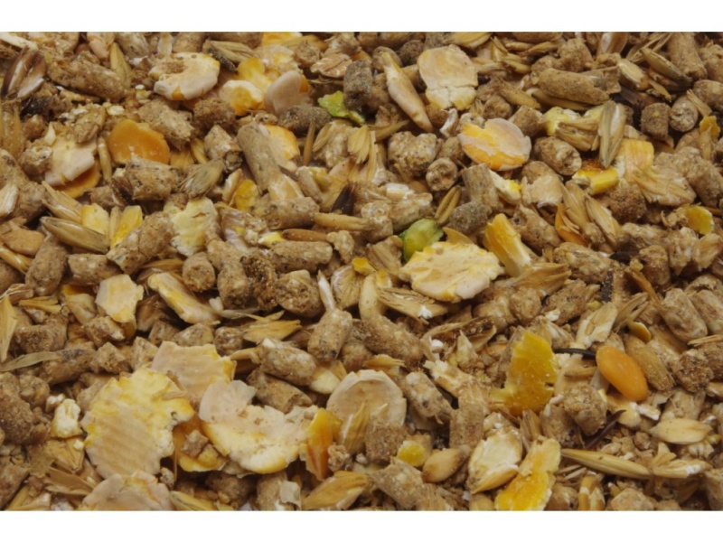 Müsli pro ovce a kozy v laktaci ADW MÜSLI DOJ OVCE a KOZY, 25kg