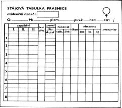 Stájová tabulka plastová pro prasnice