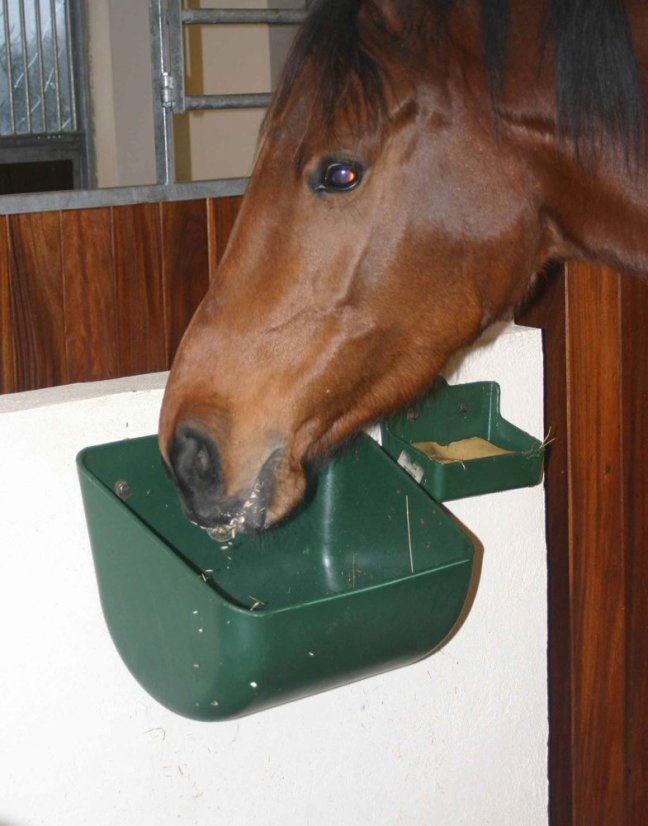 OK PLAST krmný žlab pro koně široký 14ltr.