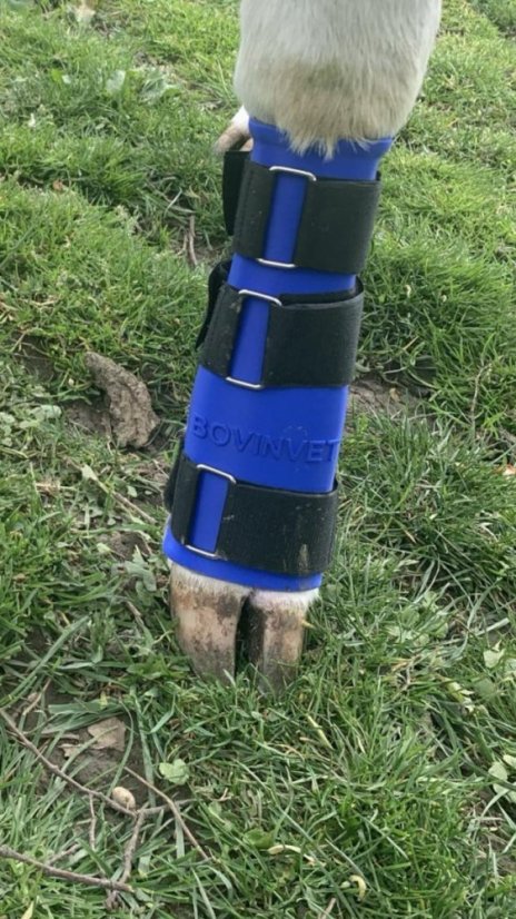 Dlaha pro telata a hříbata na nohy BOVINVET, sada 2 ks