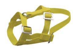 Nylonová ohlávka pro berany žlutá