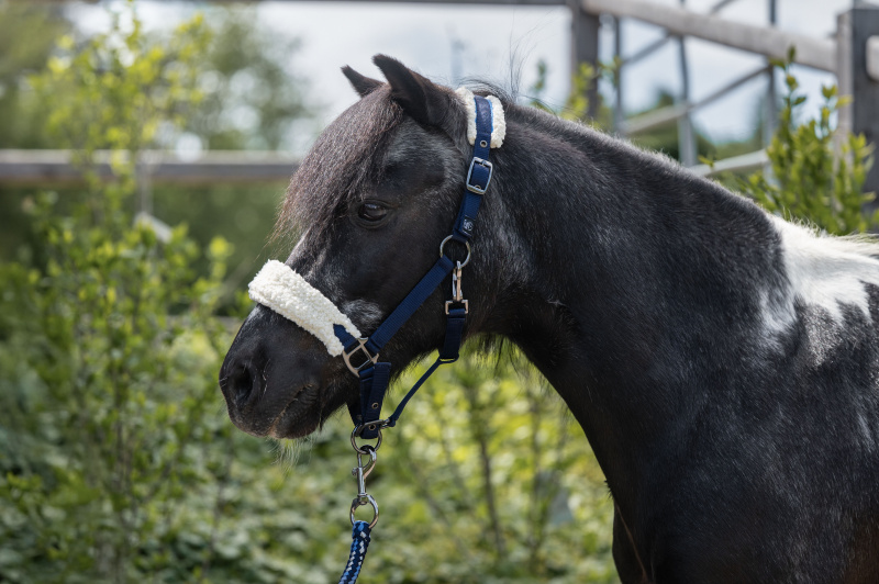 HKM Mia stájovka pro pony