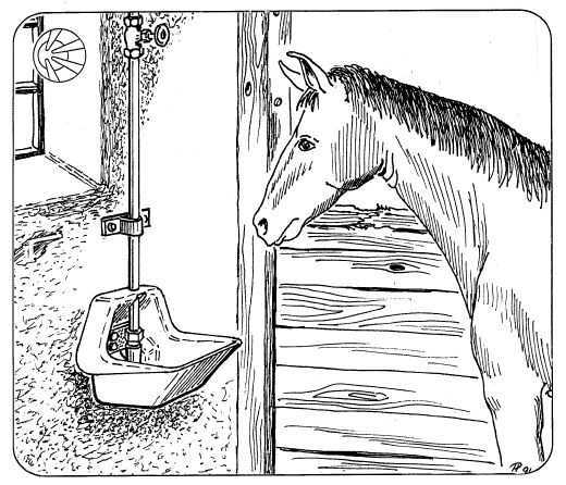 OK PLAST napáječka pro koně niplová