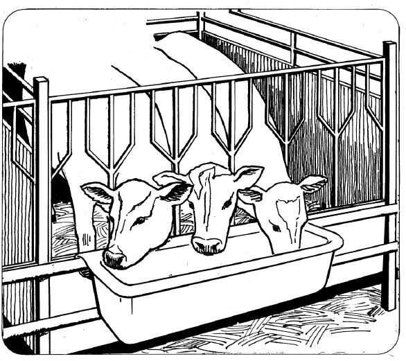 OK Plast závěsný žlab pro telata, ovce a kozy 80cm, 32ltr.