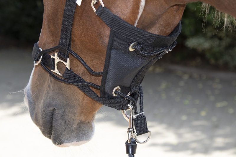 HKM Safe Control stájovka vodící černá