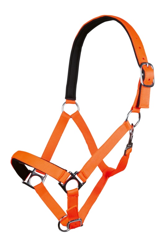 Stájovka HKM Stars Softice