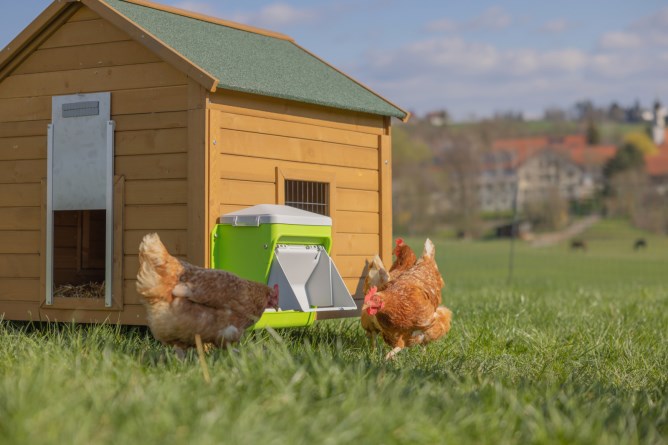 KERBL SMARTCOOP krmítko pro drůbež plastové 7,5kg