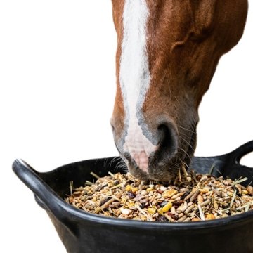 Krmení pro zvířata, pamlsky, krmné doplňky