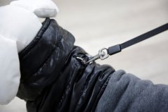 Kabátek pro psy KERBL Pet Quebec