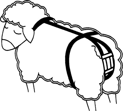 Nylonová bandáž pro ovce a kozy proti výhřezu dělohy