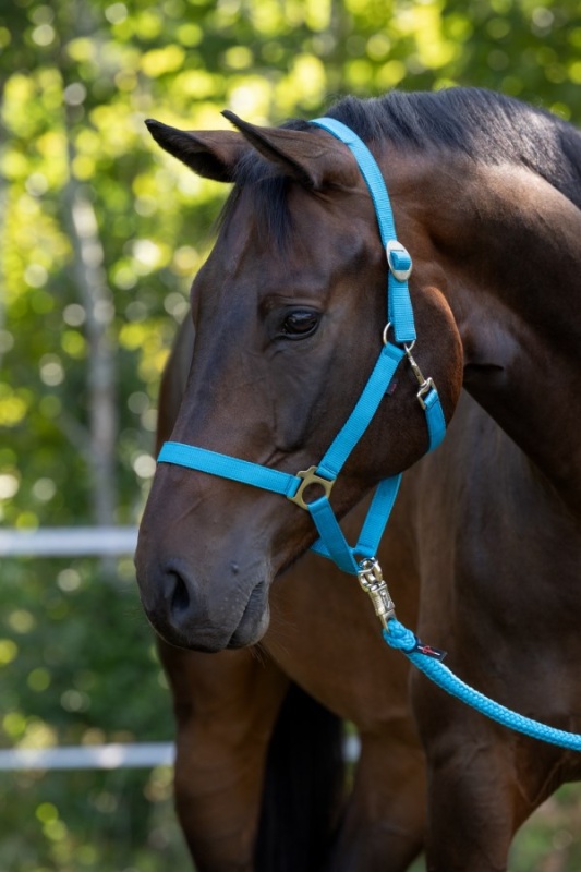 Stájovka Hippo nylonová