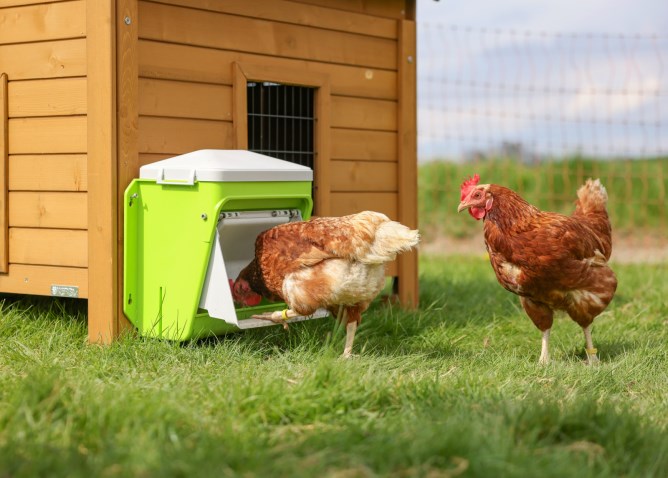 KERBL SMARTCOOP krmítko pro drůbež plastové 7,5kg