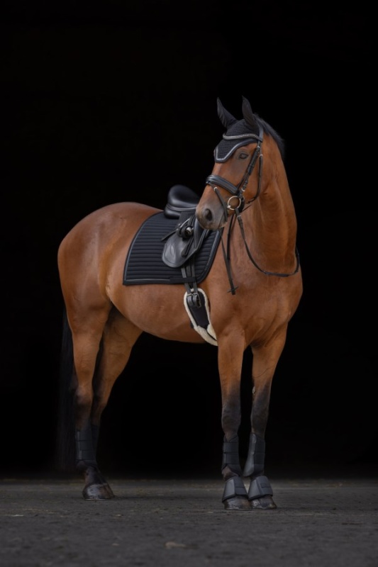 Čabraka pro koně COVALLIERO Linea - Barva: b.hnědá, Velikost: pony