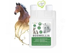 DROMY Boswellia liquid pro koně 1000ml