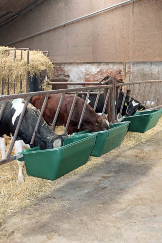 OK PLAST závěsný krmný žlab pro skot, krávy 180ltr.