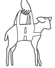 Nylonový závěs pro jehňata na nošení a vážení