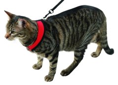 Postroj ACTIV pro kočku s vodítkem
