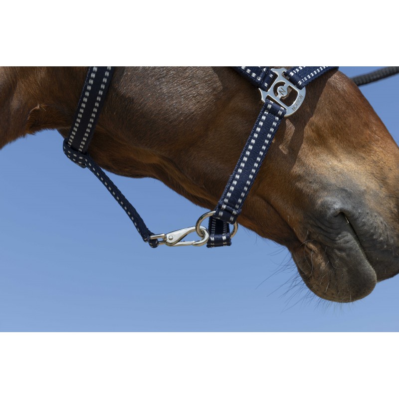 NORTON Grooming stájovka pro koně