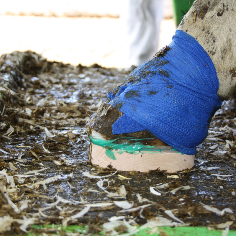BLOCK BOND dvousložkové lepidlo na paznehty tuba 200ml