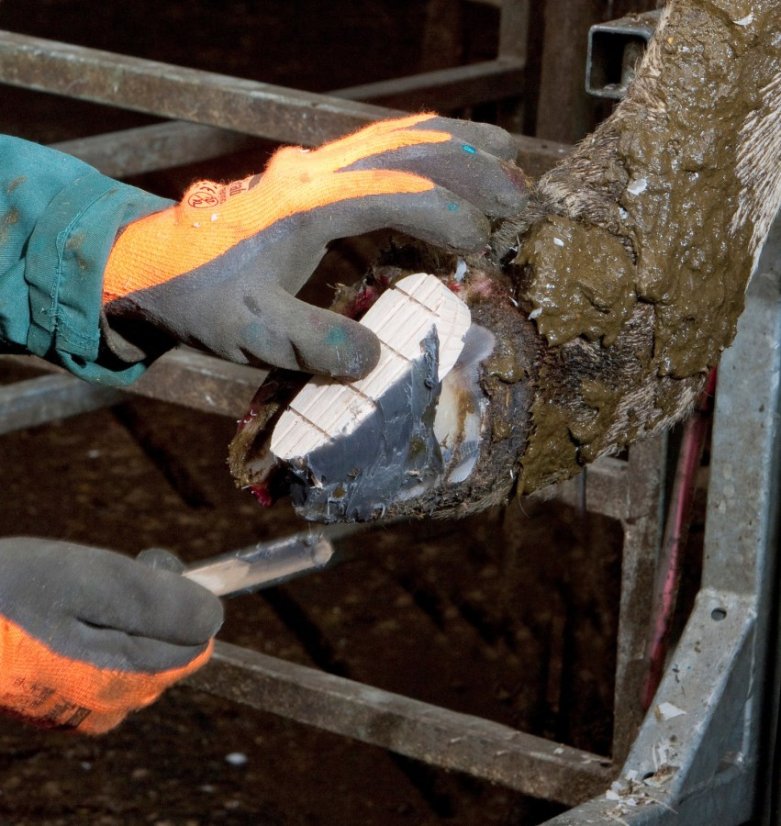 Technovit 6091-sada 10ks  na paznehty