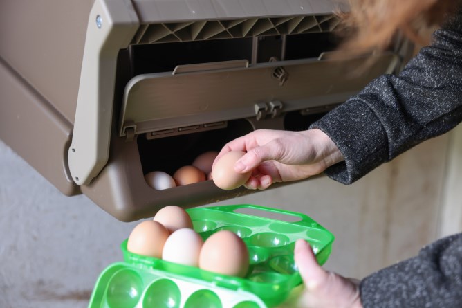 KERBL dvoumístné snáškové hnízdo pro slepice plastové