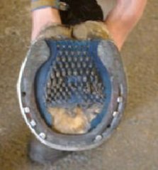 Podložka pod podkovu LUWEX rovná se síťkou