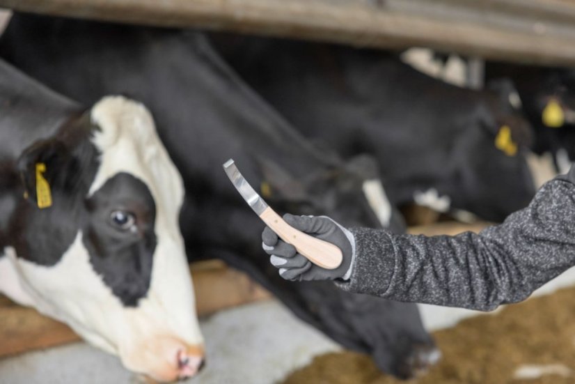 Kopytní nůž Aesculap velký pravý