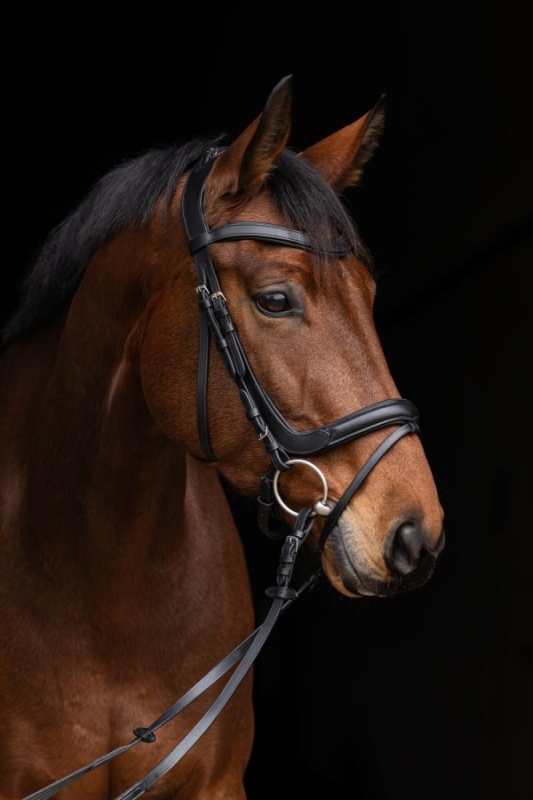 COVALLIERO Anatomic uzdečka pro koně