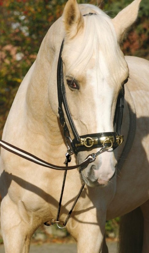 Pomocná otěž NORTON jemná