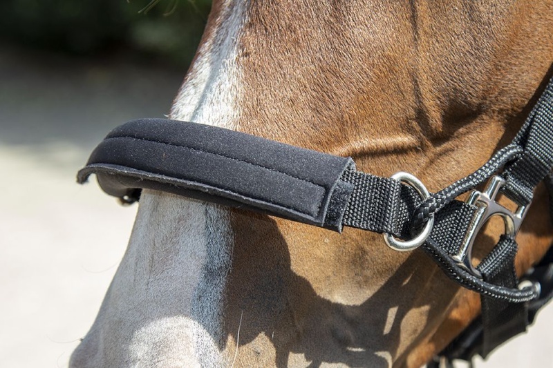 HKM Safe Control stájovka vodící černá