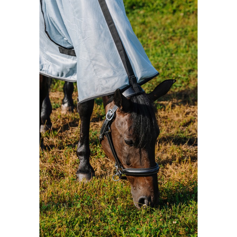 RIDING WORLD Belly Mesh Combo letní deka proti hmyzu pro koně