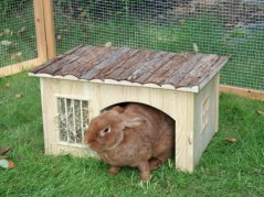 Domek NATURE pro hlodavce dřevěný 54x41x30cm