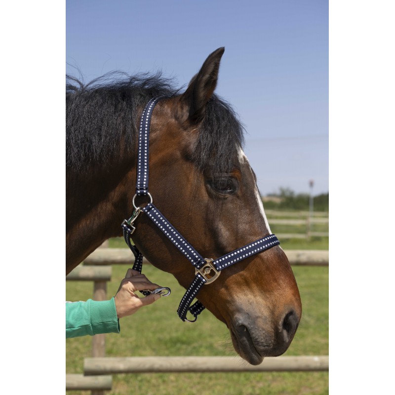 NORTON Grooming stájovka pro koně