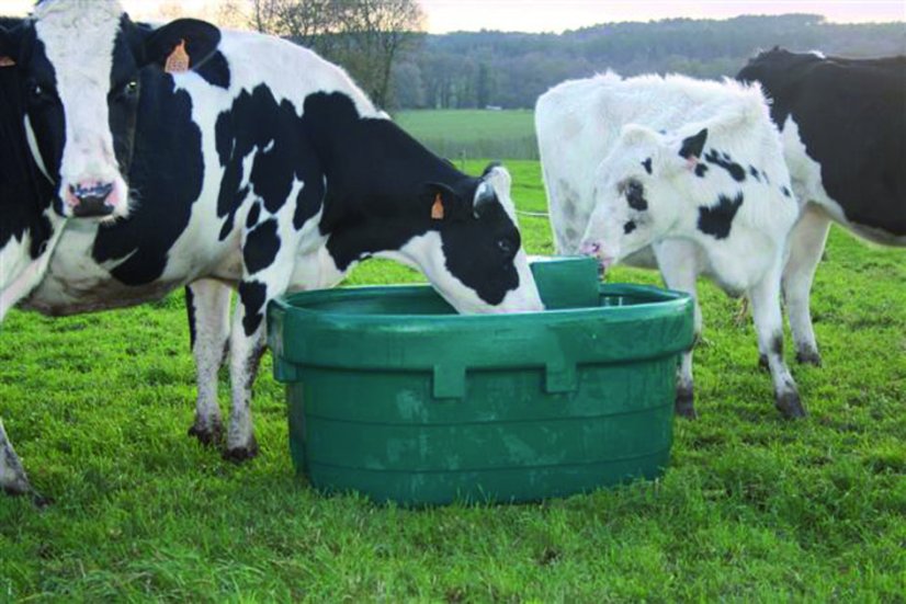 Napajedlo pro koně, skot SHWT na pastviny