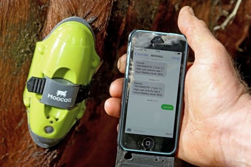 MOOCALL elektronický senzor porodu krav