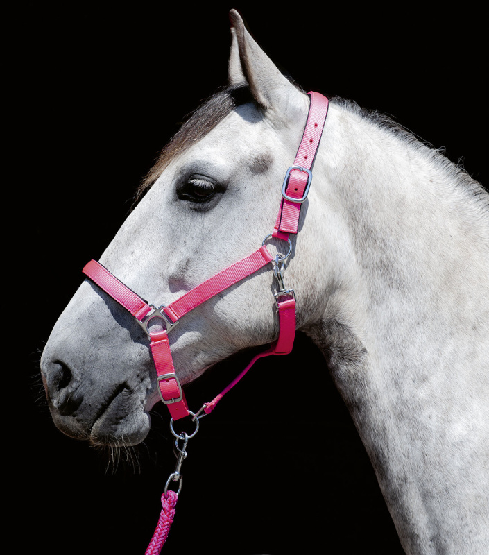 Stájovka HKM Stars Softice