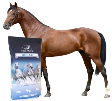 Krmení pro koně, krmné doplňky