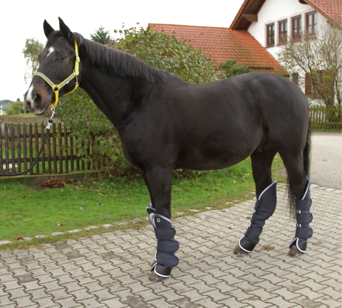 Transportní kamaše DEXTER 4ks tm.modré full