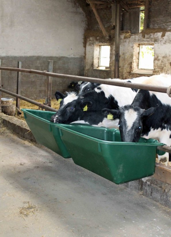 OK PLAST závěsný krmný žlab pro skot, krávy 180ltr.