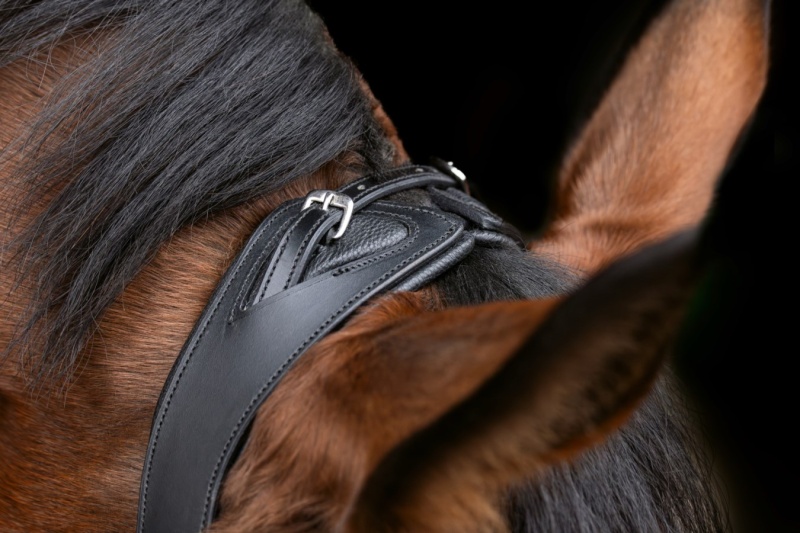 COVALLIERO Anatomic uzdečka pro koně