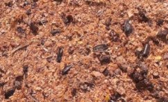 NovaEqui Mash krmení pro koně 15kg